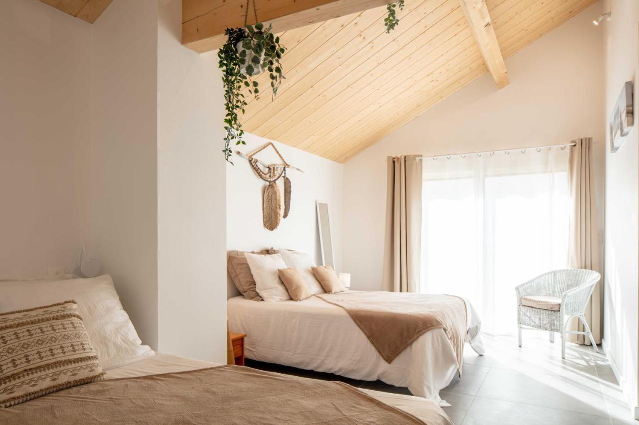 Ted Surf House Bed & Breakfast Capbreton Bagian luar foto